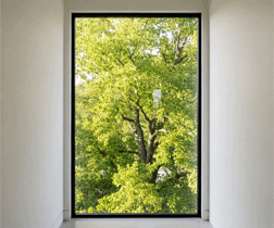 fixed window